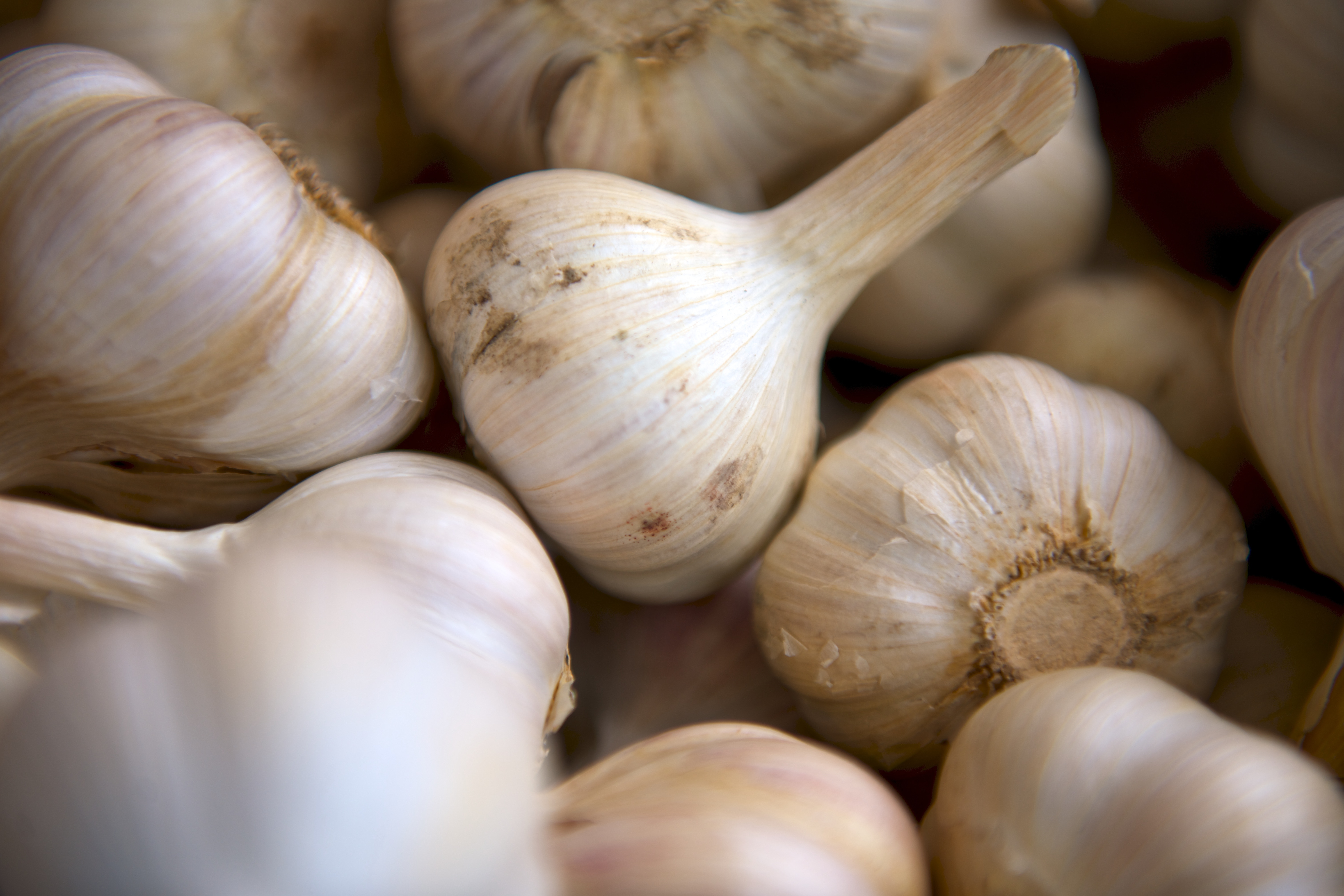 Top 10 superfoods - Garlic